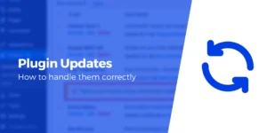 How Plugin Updates Can Introduce Bugs Into Your WordPress Website