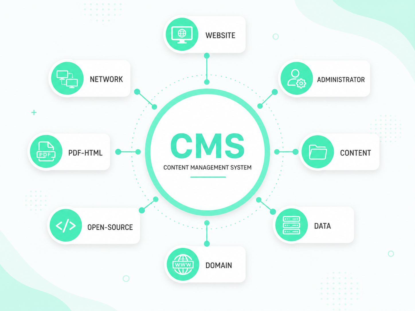 CMS Development